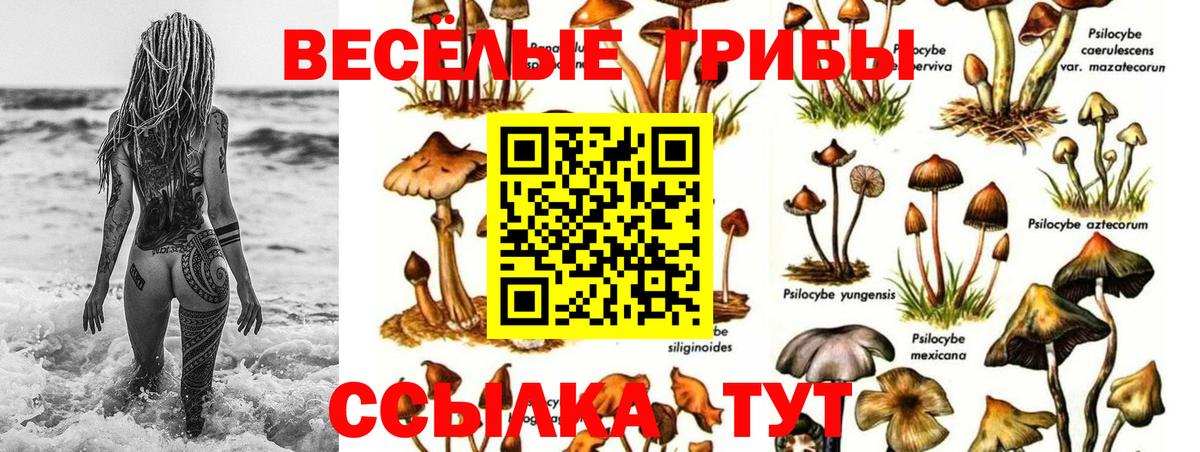 Псилоцибиновые грибы ЛСД  Галлюциногенные грибы MAGIC MUSHROOMS  Вход с VPN  Алейск 