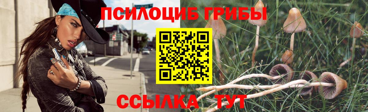 Галлюциногенные грибы GOLDEN TEACHER Алейск